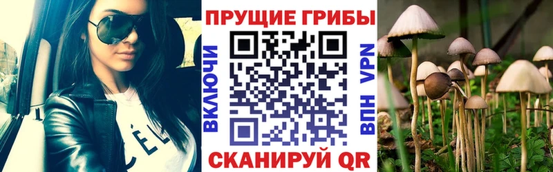 Галлюциногенные грибы ЛСД  Стрежевой 